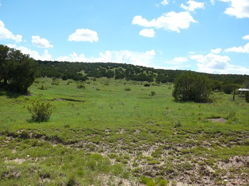Property photo 30 - 7,320 Acres Offered in 5 Tracts